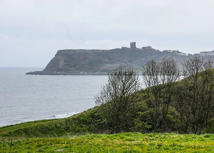 53 Burniston Road 度假居